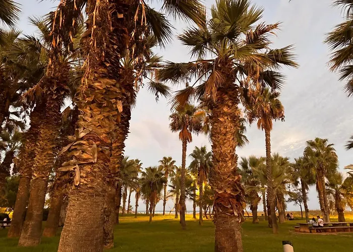 Brisa Marina Apartamento *